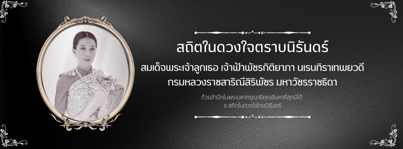 Offer Slider